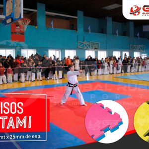 Pisos tatami de 1x1 m y 25 mm de espesor en un campeonato de artes marciales